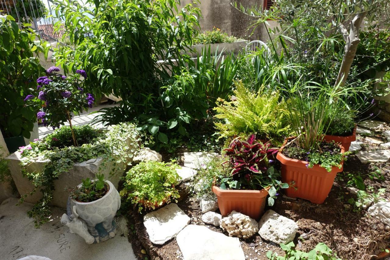 Apartman Maja Bol Extérieur photo