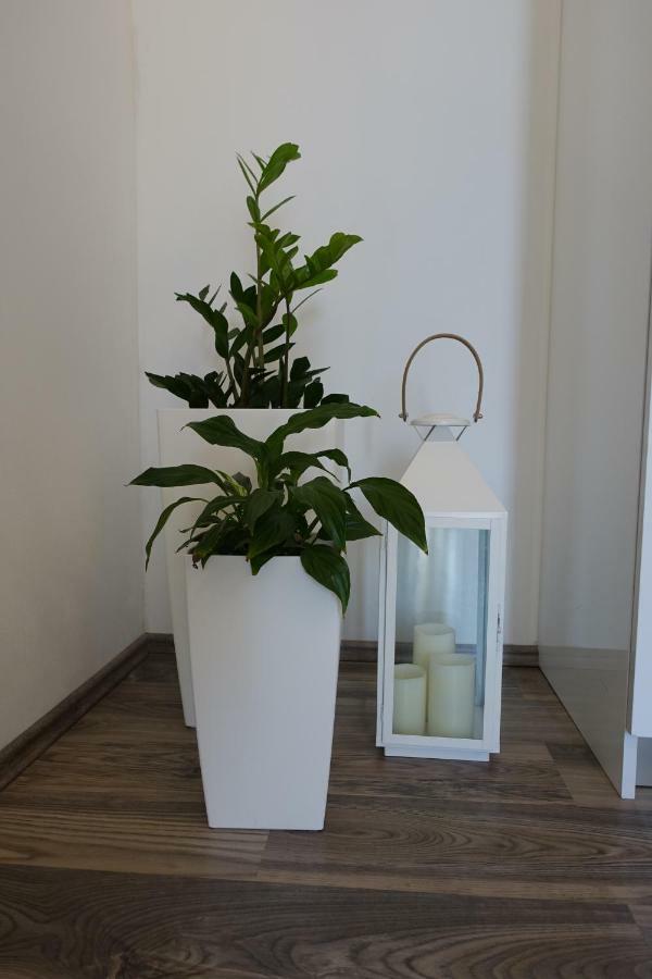 Apartman Maja Bol Extérieur photo